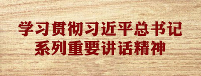 学习贯彻习近平总书记系列重要讲话精神