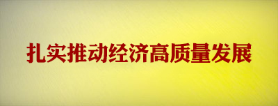 扎实推动经济高质量发展